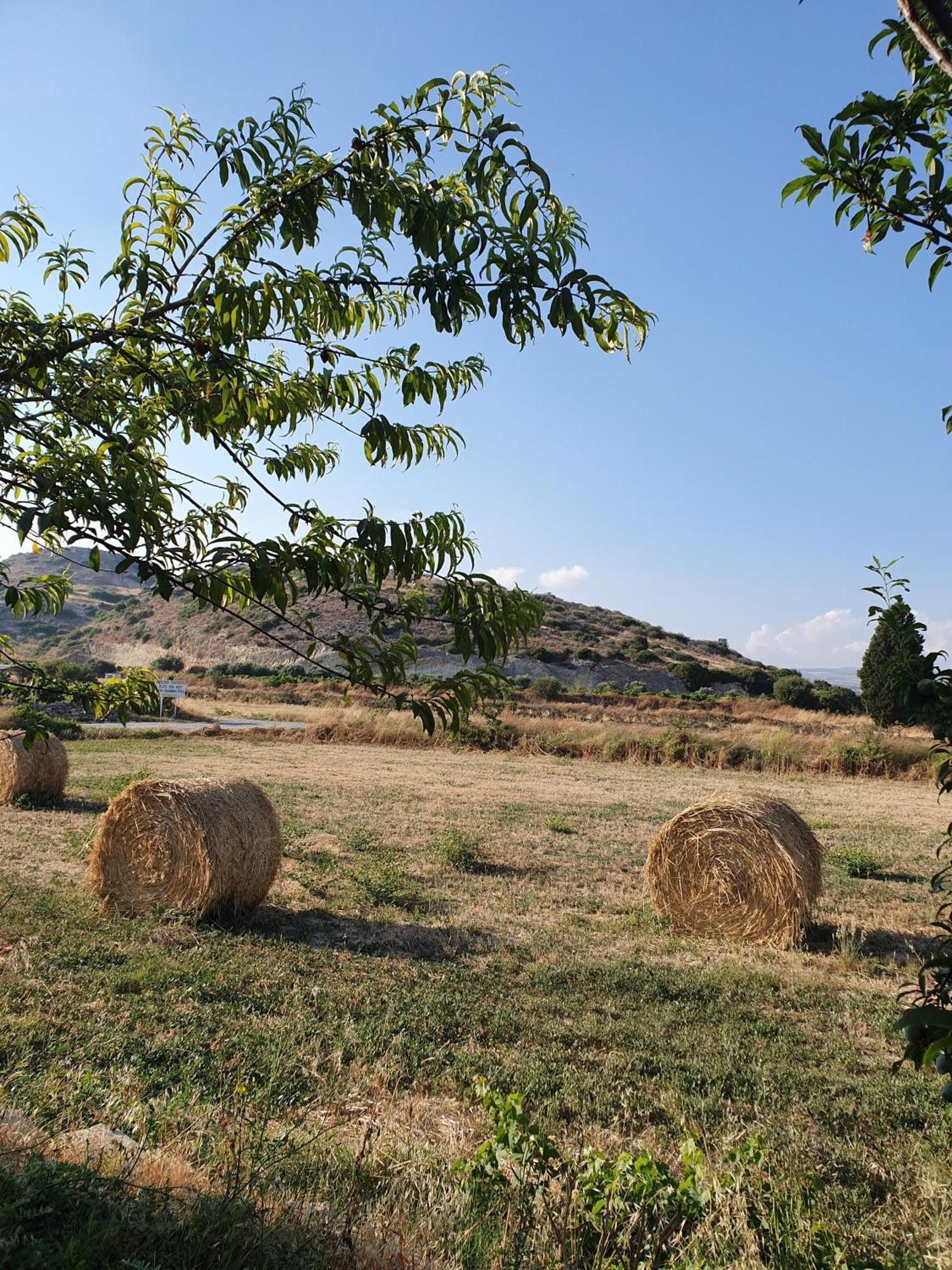 Vina Oliva Resort Pissouri Luaran gambar
